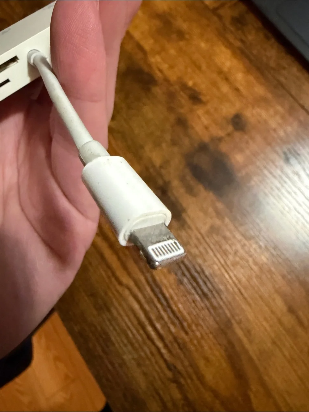 White Lightning to SD/TF Card Reader Adapter